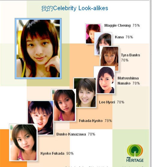 人臉相似度
