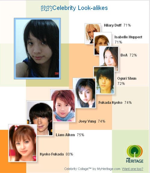 人臉相似度