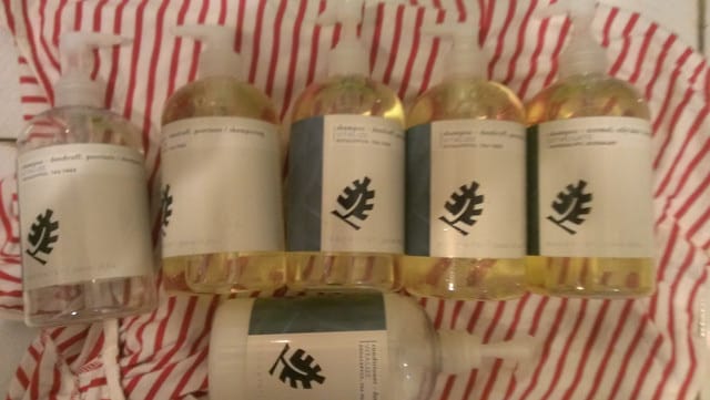 頭皮屑的救星~伊聖詩洗髮精 - 第1張圖 頭皮屑的救星~伊聖詩洗髮精