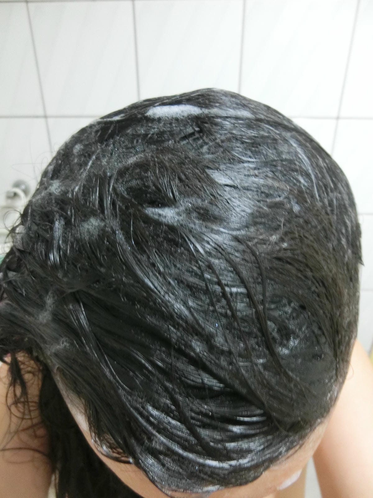 CIMG2909 CIMG2909