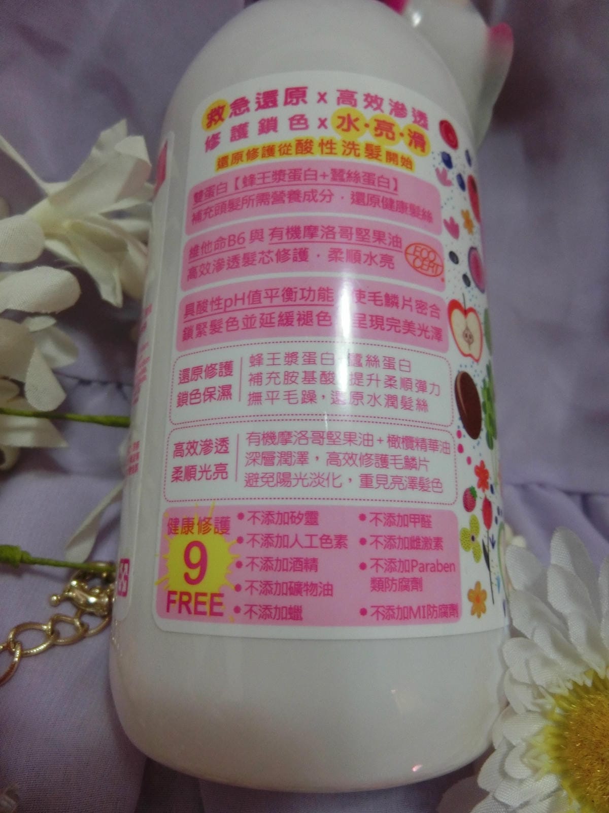 CIMG0279.JPG
