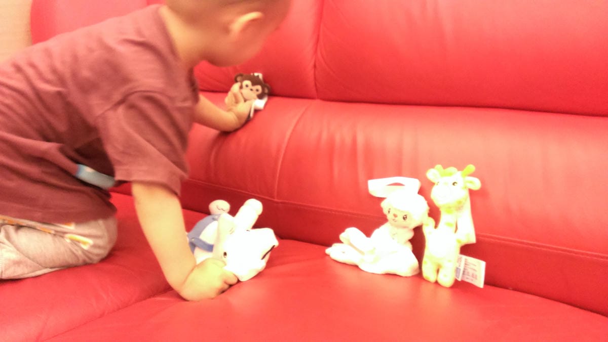 IMAG2243