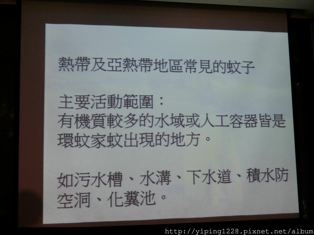 CIMG1345.JPG