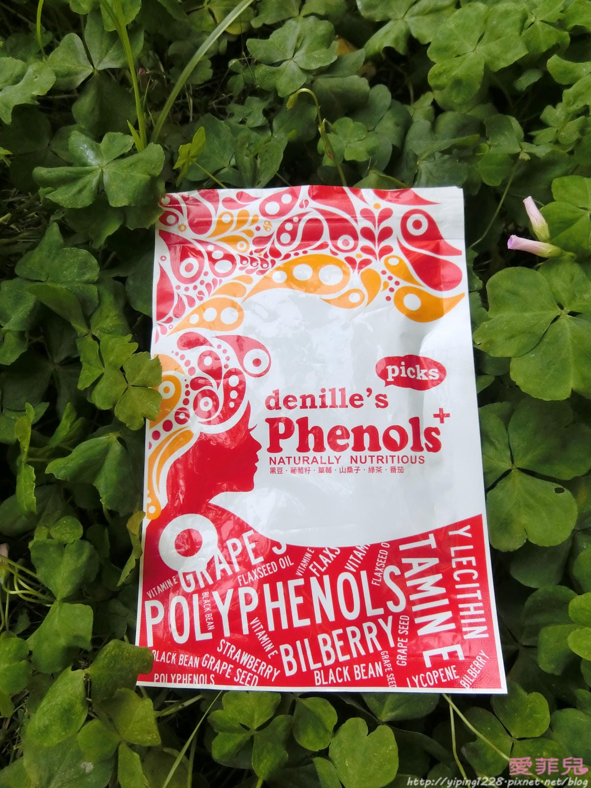 Phenol+綜合多酚膠囊 Phenol+綜合多酚膠囊
