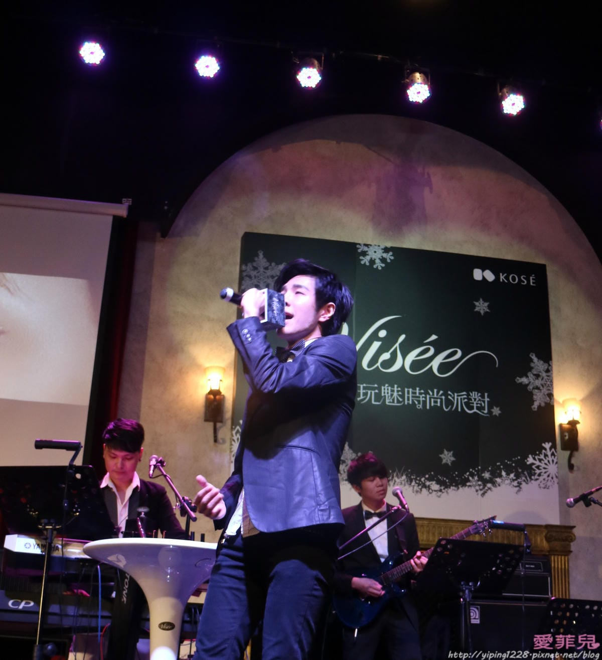 VISEE唇膏/VISEE眼影/VISEE睫毛膏/VISEE蜜粉/VISEE最新彩妝