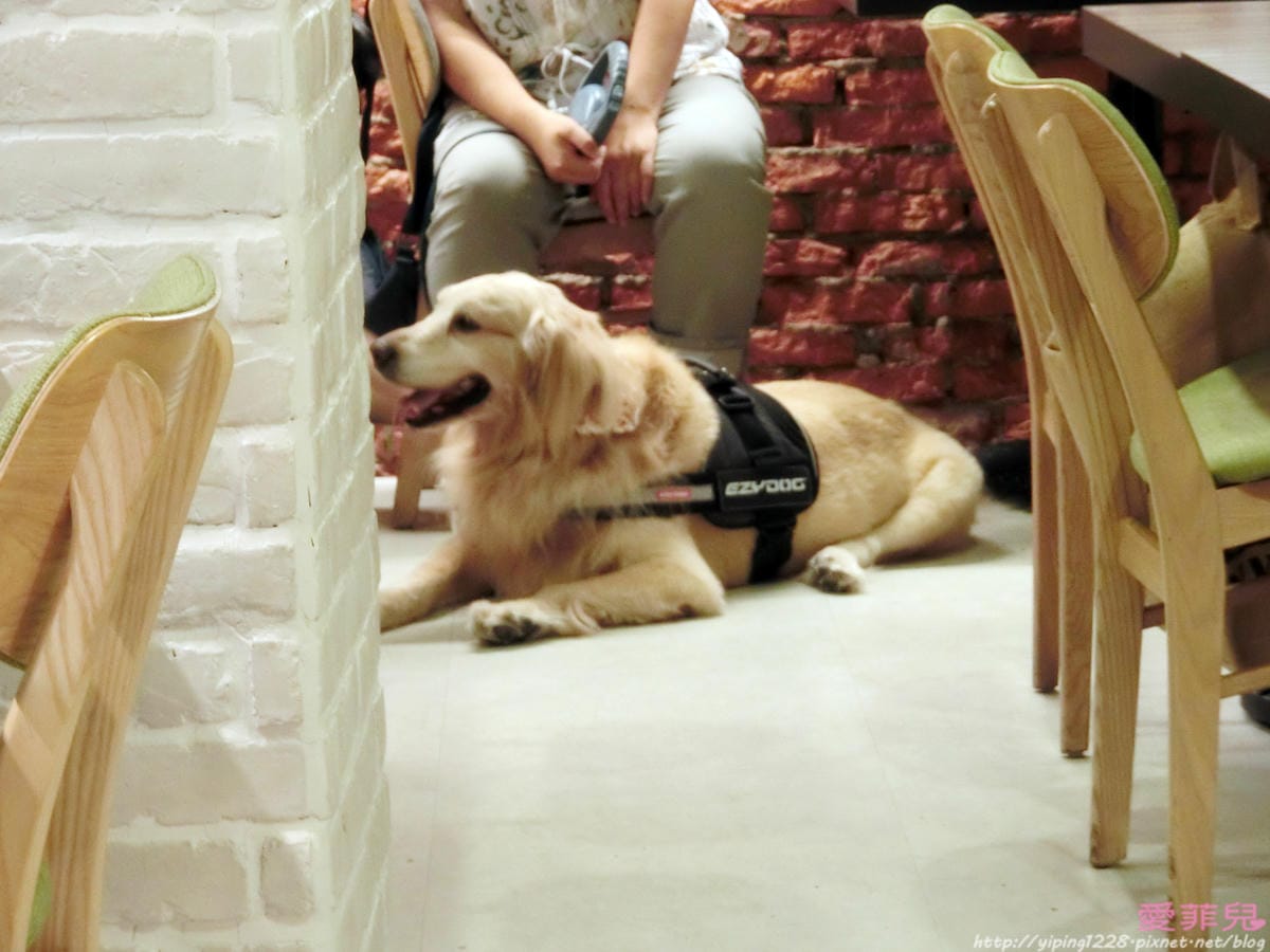 A Place A Place