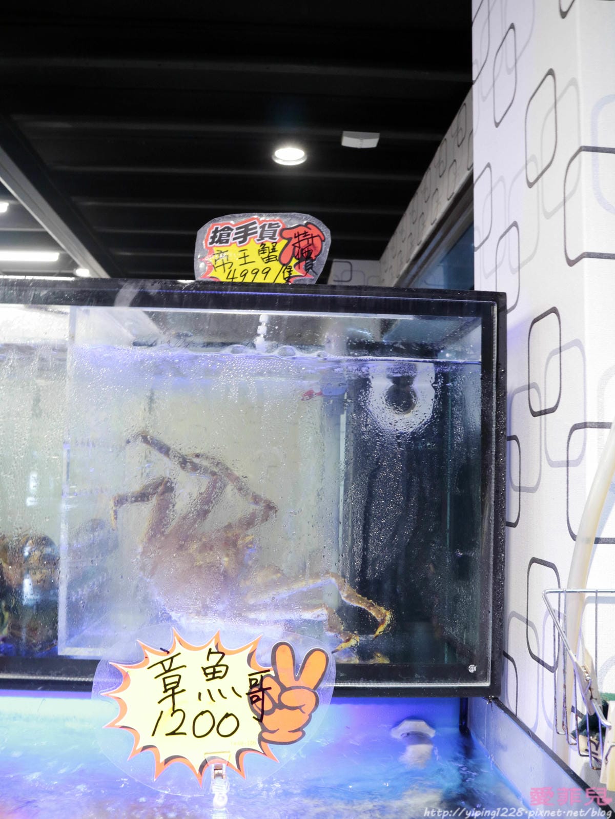 蒸霸天下