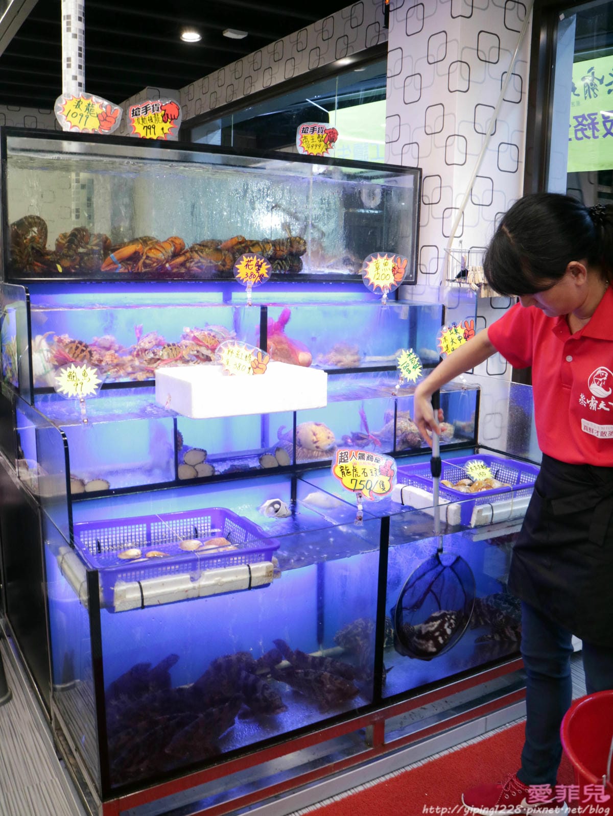 蒸霸天下