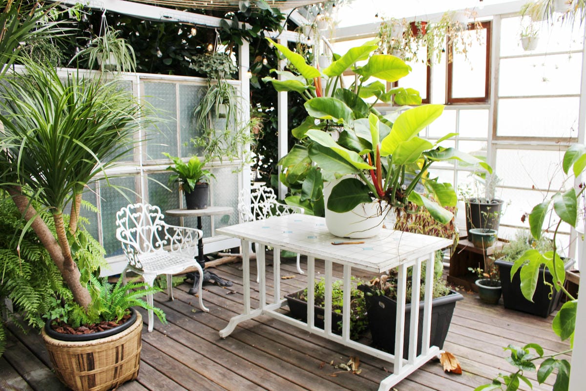 新竹網美餐廳/Garden Party Restaurant 新竹網美餐廳/Garden Party Restaurant