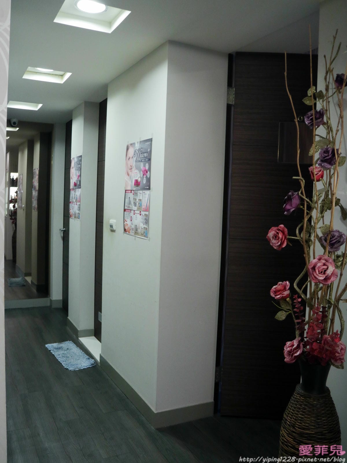 VIVISPA