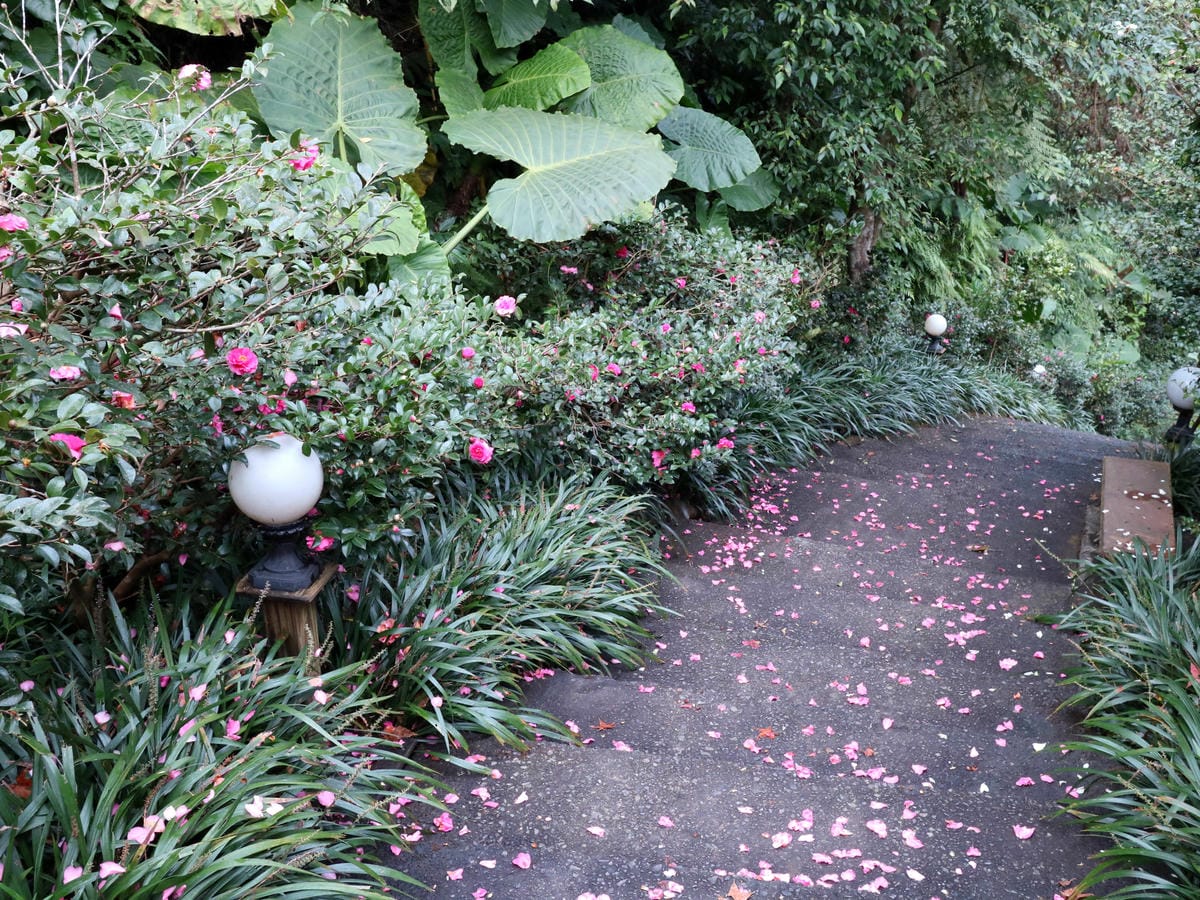 絹絲谷/陽明山無菜單料理/陽明山泡湯房間