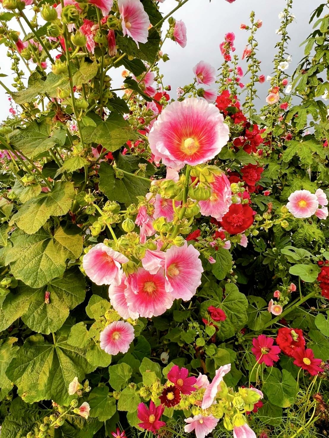 263615_0.jpg 263615_0.jpg